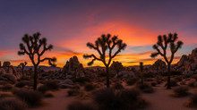 Google has released Imagen 4, a new family of image generation models that works seamlessly with text