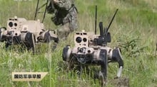 Китай випробував озброєних роботизованих собак поблизу кордону з росією
