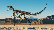 The world's only complete skeleton of a 150-million-year-old young dinosaur is up for auction