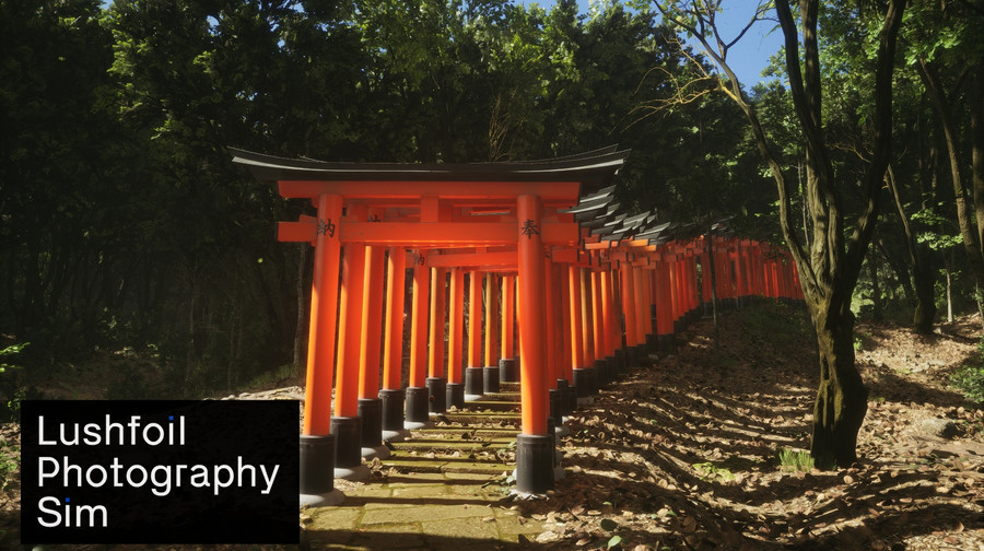 Man with a camera. Lushfoil Photography Sim game review