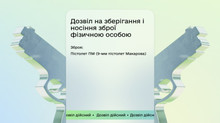 В Дії зʼявився дозвіл на зброю