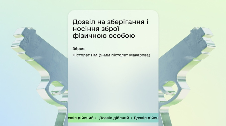 В Дії зʼявився дозвіл на зброю