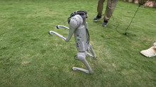 Researchers have developed a robops that can walk like a human