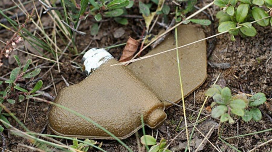 People's Deputies supported Ukraine's withdrawal from the convention banning anti-personnel mines