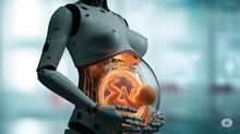 A Chinese company will introduce a robot in 2026 that can carry and give birth to human children