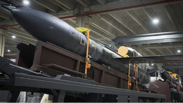 Ukraine will mass-produce Flamingo missiles in a few months – Zelenskyy