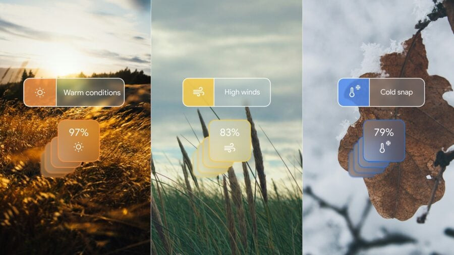Google unveils GenCast: a leading AI model for weather forecasting