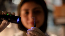 Scientists have created a flexible brain implant that delivers drugs to multiple brain regions with high precision