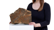 Martian meteorite sold at auction for $5.3 million