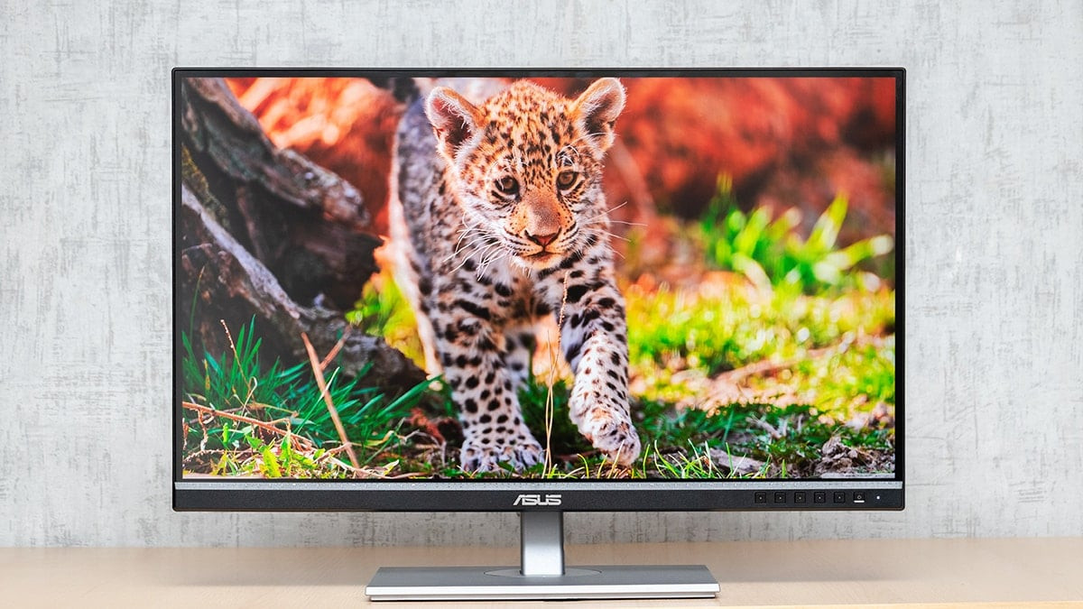 ASUS ProArt Display PA278CGV monitor review