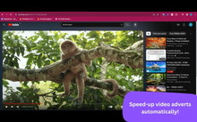 Ad Speedup is a YouTube extension that speeds up ads so that they don't have to be blocked