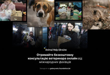 Galaxy Vets has launched an online help platform for pet owners in Ukraine