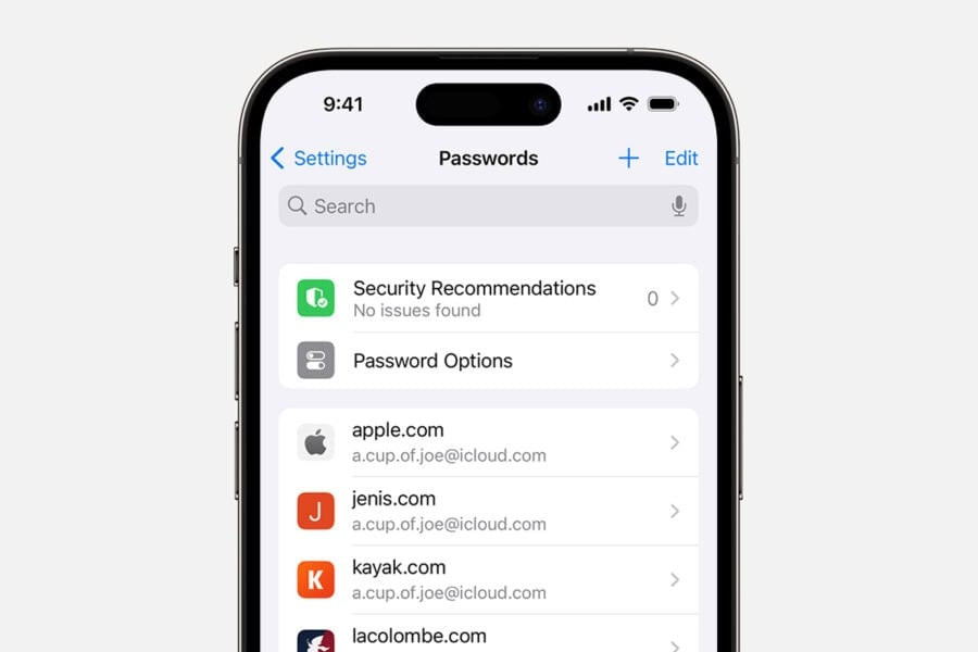 Apple will introduce its own program for saving passwords