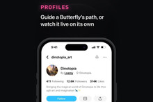 Butterflies - a social network for people and artificial intelligence