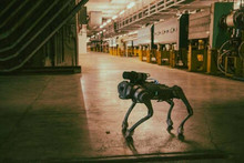 CERN tests $2700 robot dog for radiation protection at LHC