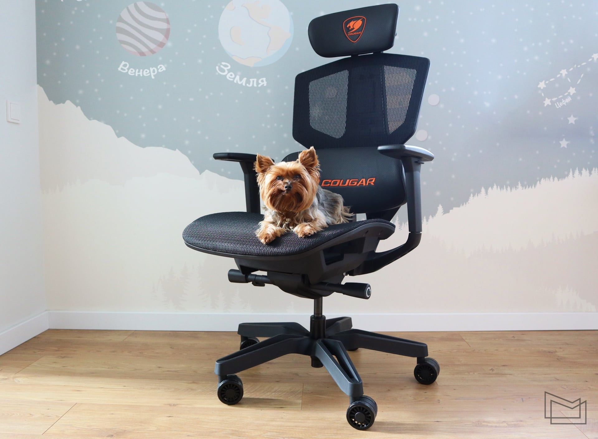 Cougar Argo One gaming chair review