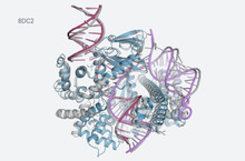 DeepMind presents a new version of AlphaFold - now AI will help in drug development