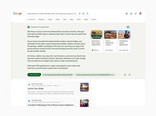 Штучний інтелект в експериментальному пошуку Google розказує про «переваги рабства» та видає рецепт приготування отруйного гриба