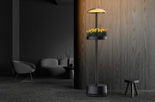 LG has announced a lamp with a built-in mini garden.