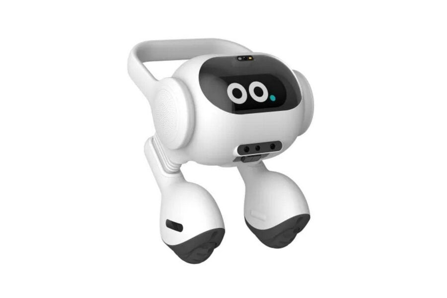 LG has developed an AI robot that can take care of pets