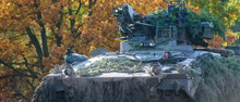 Christmas gifts: 50 M2 Bradley IFVs, 40 (?) Marder IFVs, an additional battery of MIM-104 Patriot air defense system and RIM-7 Sea Sparrow anti-aircraft missiles
