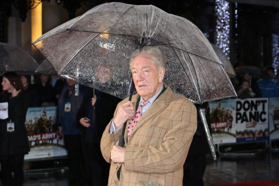 Actor Michael Gambon, who played Professor Albus Dumbledore in the Harry Potter films, dies