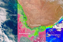 NASA made public scientific data from the PACE satellite on the state of the world's oceans and air quality