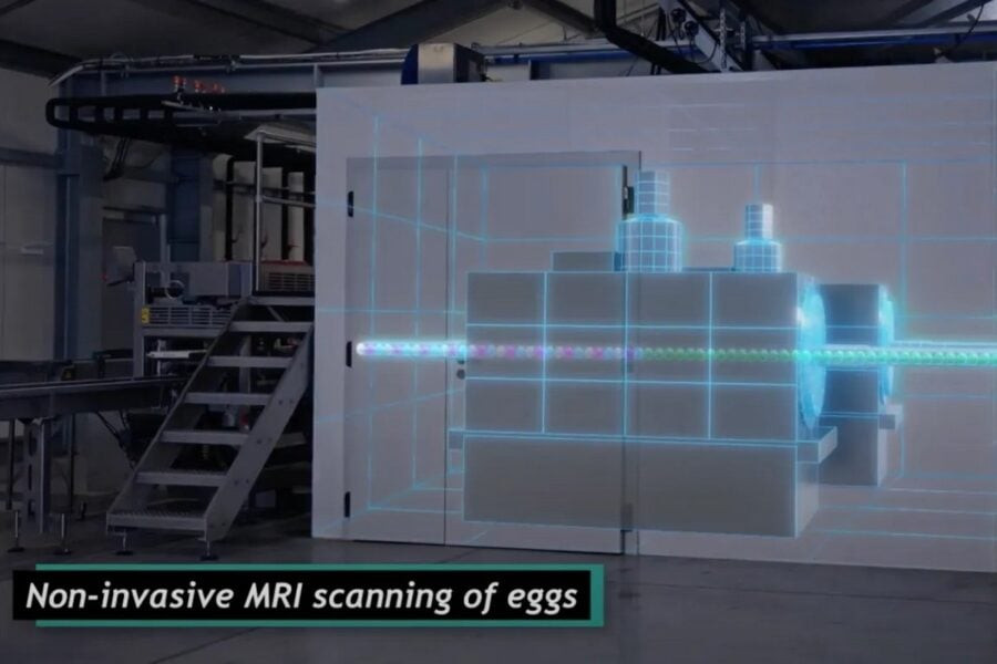 German startup Orbem uses AI to scan eggs, humans are next in line