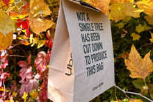 Uber Eats in France will use Releaf Paper Bags made of paper from fallen leaves for orders