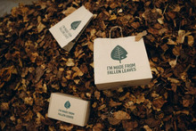 Releaf Paper launches pilot production line based on fallen leaves in France