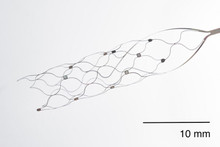 A brain implant was installed for the first time in a patient from the USA: it will allow a person to communicate