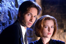 X-Files may get a reboot