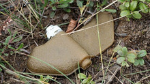 Demining operators can now get certified online at Diia