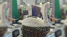 На MSPO 2025 показали морський дрон Kaczka, який схожий на лебедя