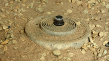 The Lithuanian Seimas supported the withdrawal from the Convention on the Prohibition of Anti-Personnel Mines