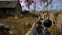 S.T.A.L.K.E.R. у реальності: дослідження свідчить, що чорнобильські собаки швидко еволюціонують