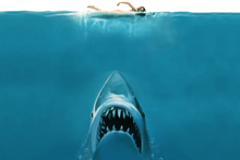 The movie Jaws, which was released 47 years ago, became a box office hit in the USA