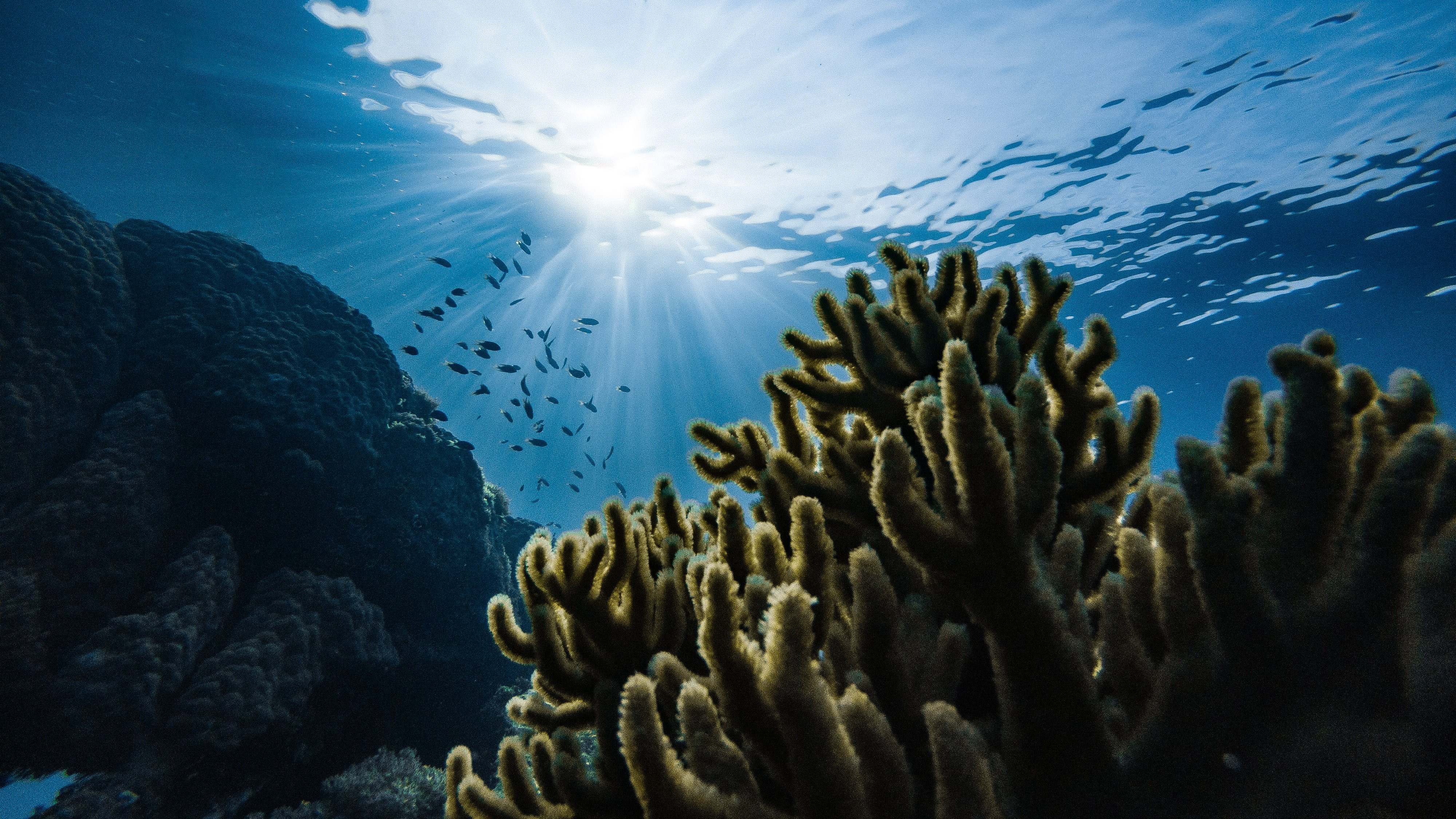 Almost 25% of the ocean floor is mapped. The rest is planned to be added by 2030