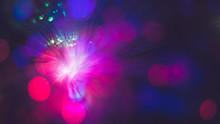 Japanese researchers set a new record speed by crossing the mark in petabits per second