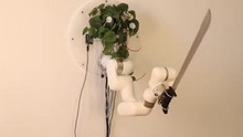 Revenge of flowerpots: the artist invented a way of self-defense for houseplants
