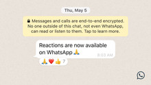 Нові можливості у Whatsapp: emoji-реакції на повідомлення, збільшення можливого розміру передаваних файлів та розширення групових чатів