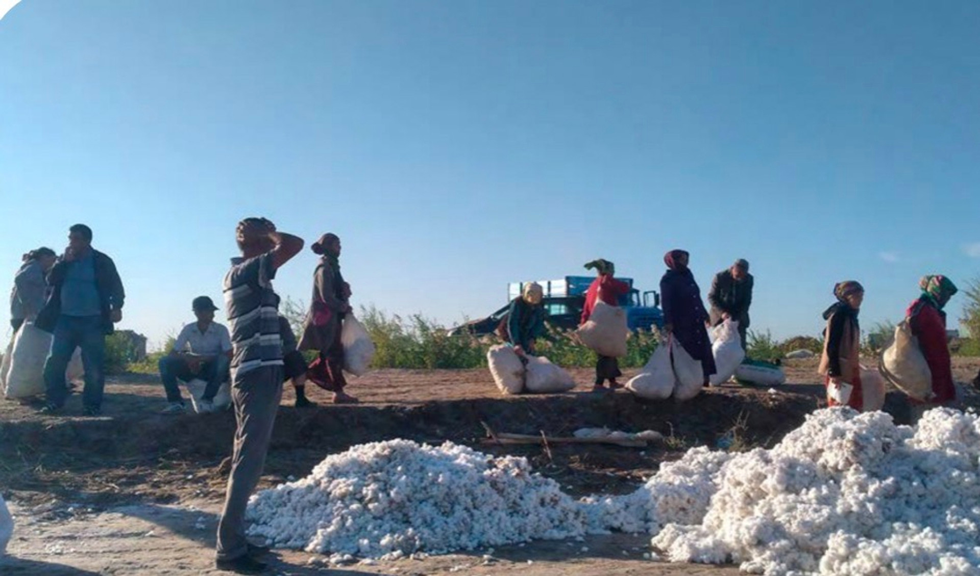 Вчителі шкіл та вихователі дитячих садків здають бавовну на зважування, Туркменістан, 2022 рік. Фото: Turkmen.News