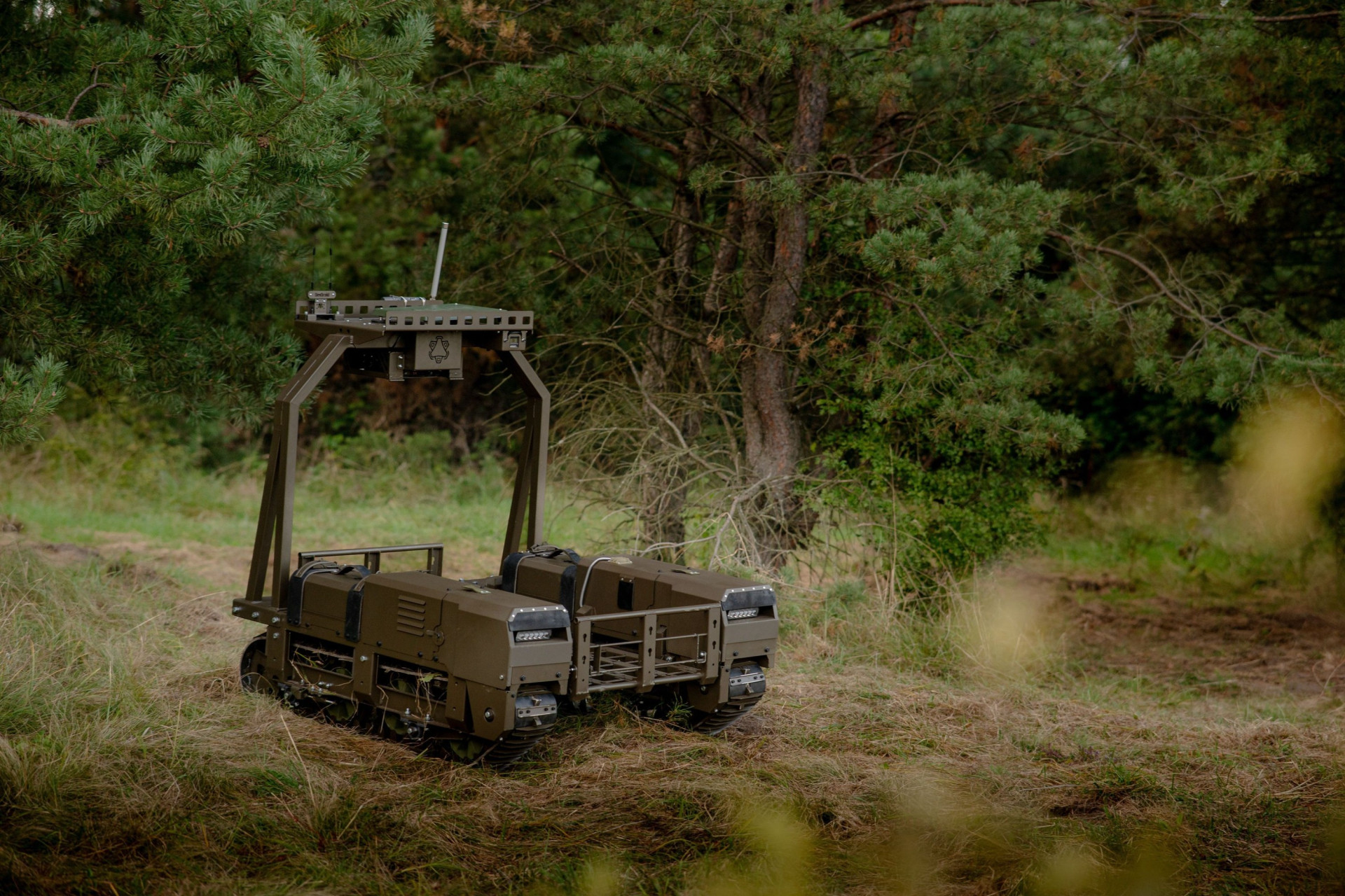 NUMO in the forest