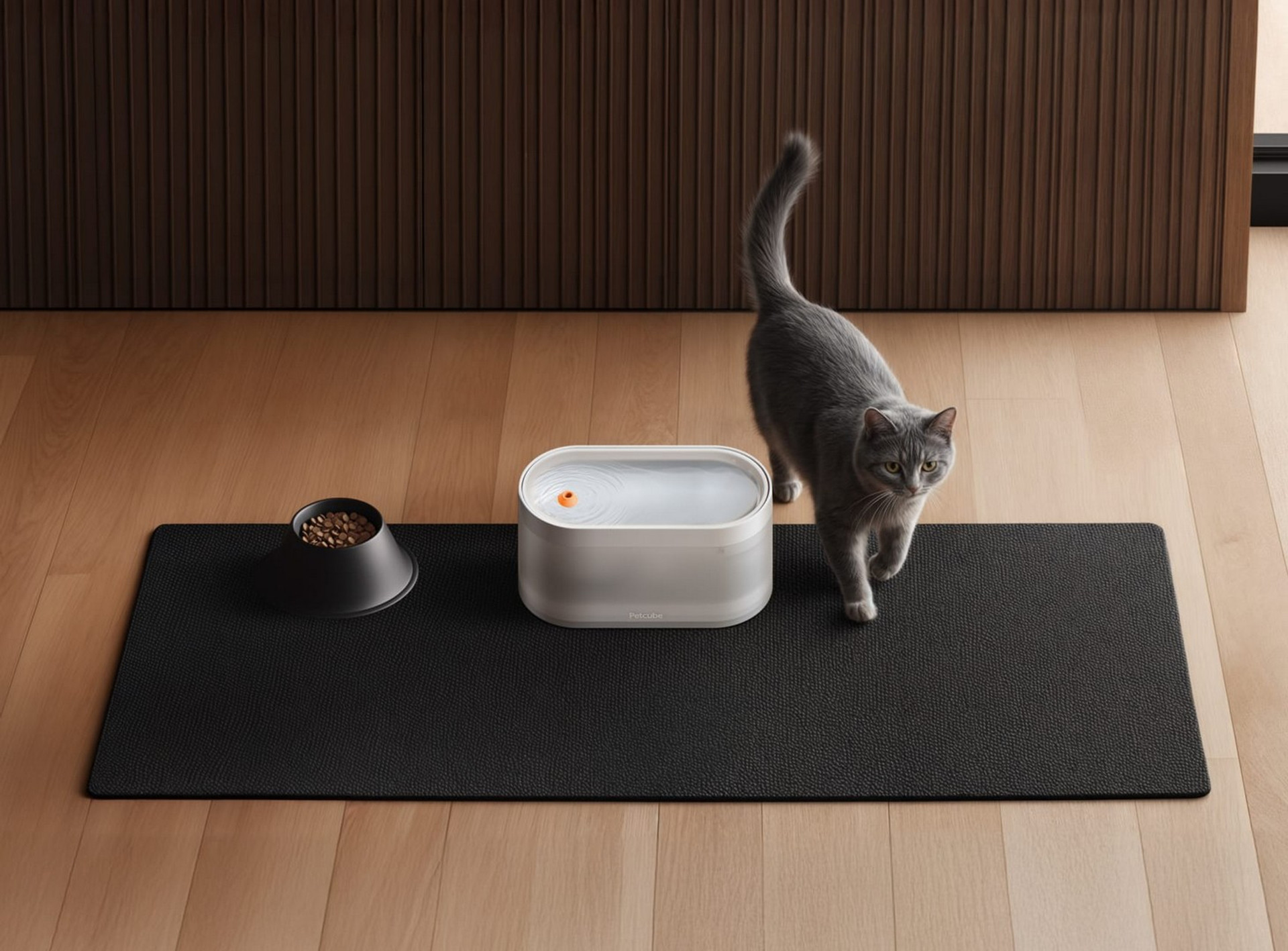 Petcube Fountain