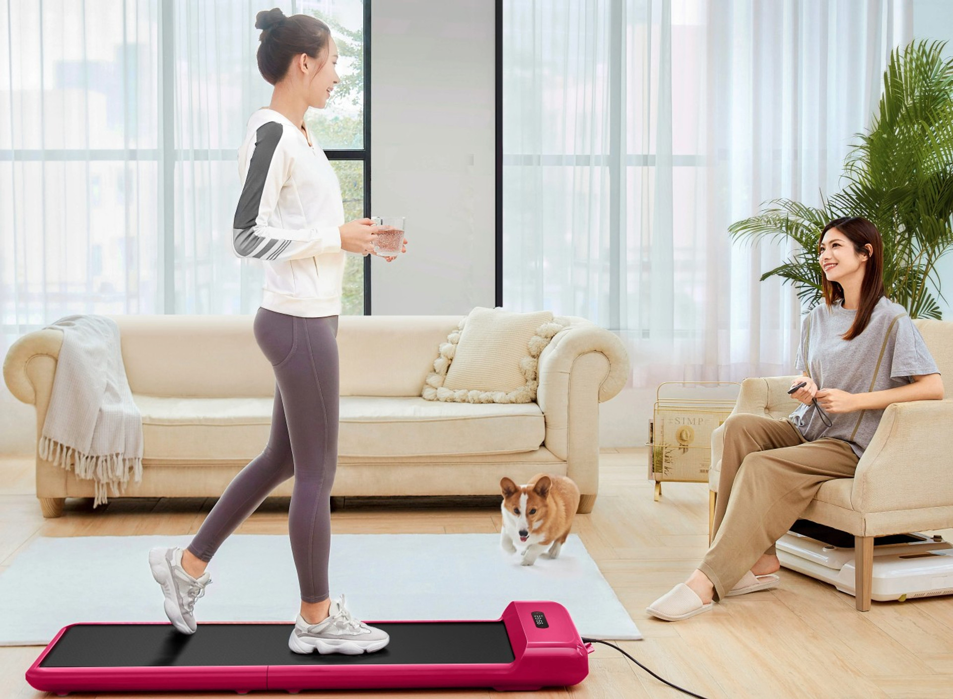 KingSmith Fitness WalkingPad C2