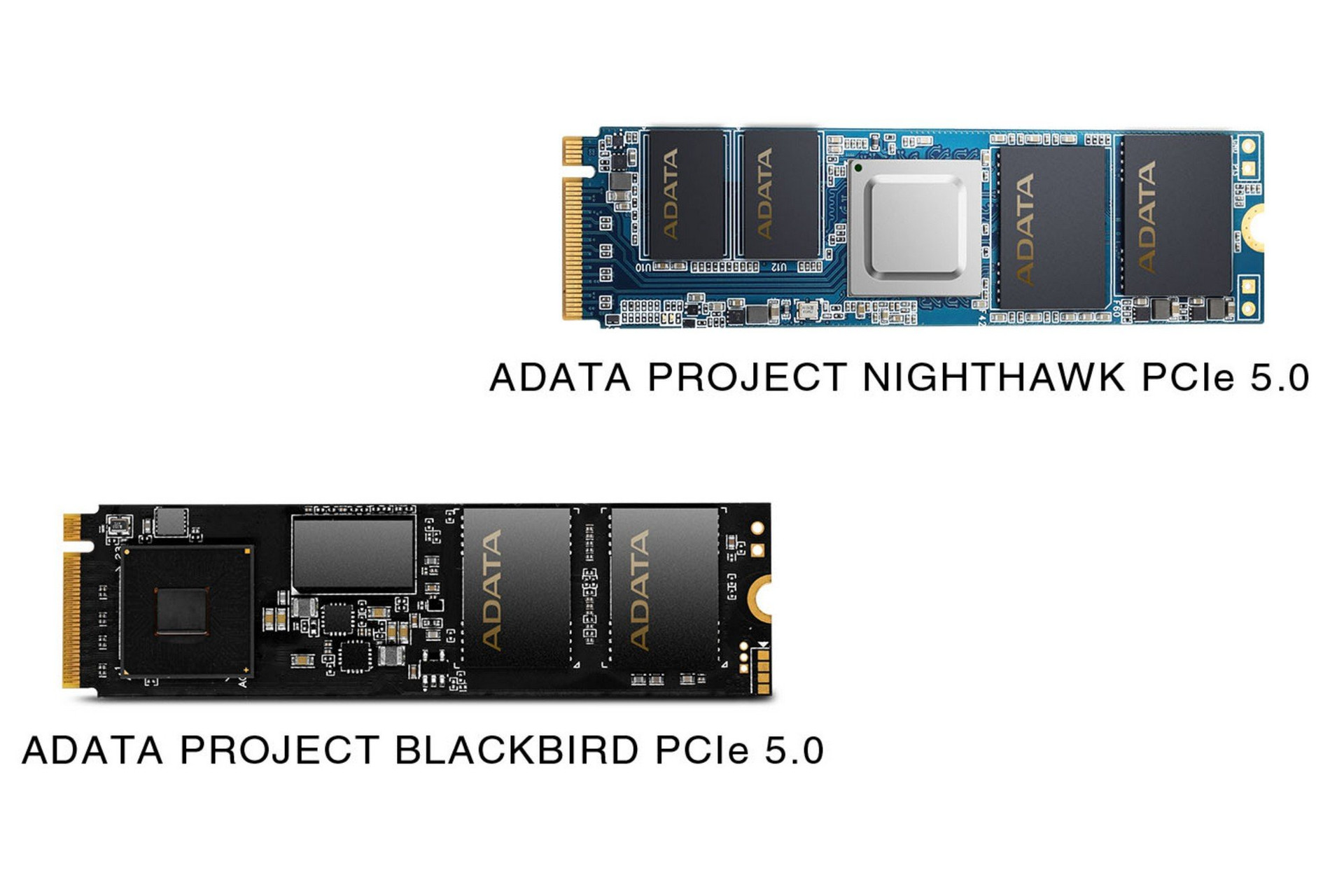 ADATA Nighthawk Blackbird