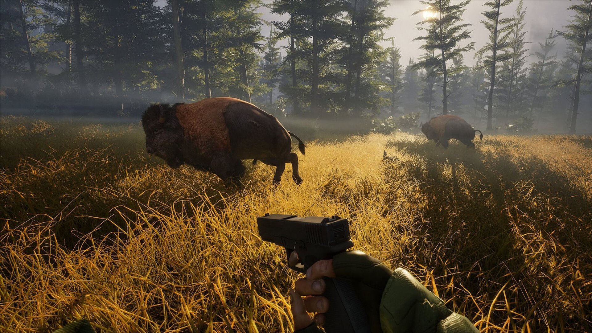CyberLight Game Studio, BIGFOOT