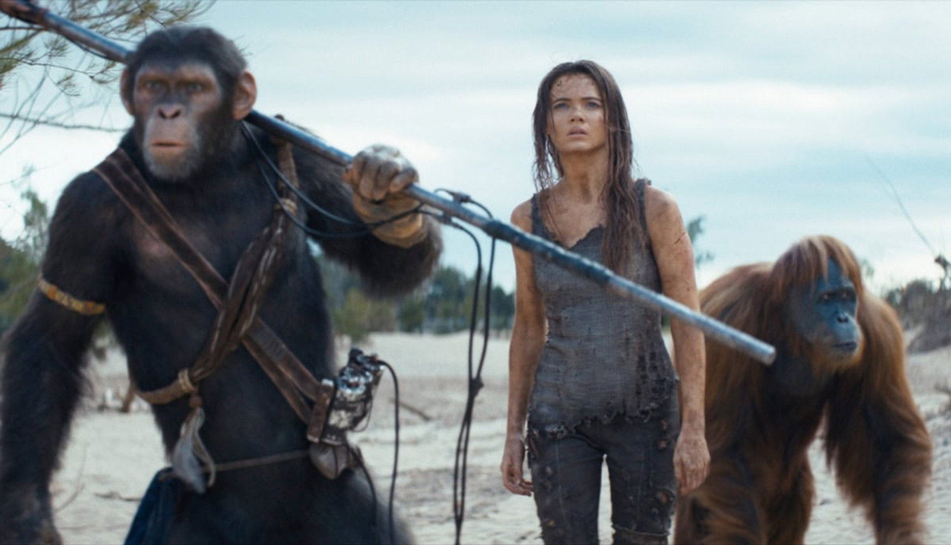 Королівство планети мавп / Kingdom of the Planet of the Apes