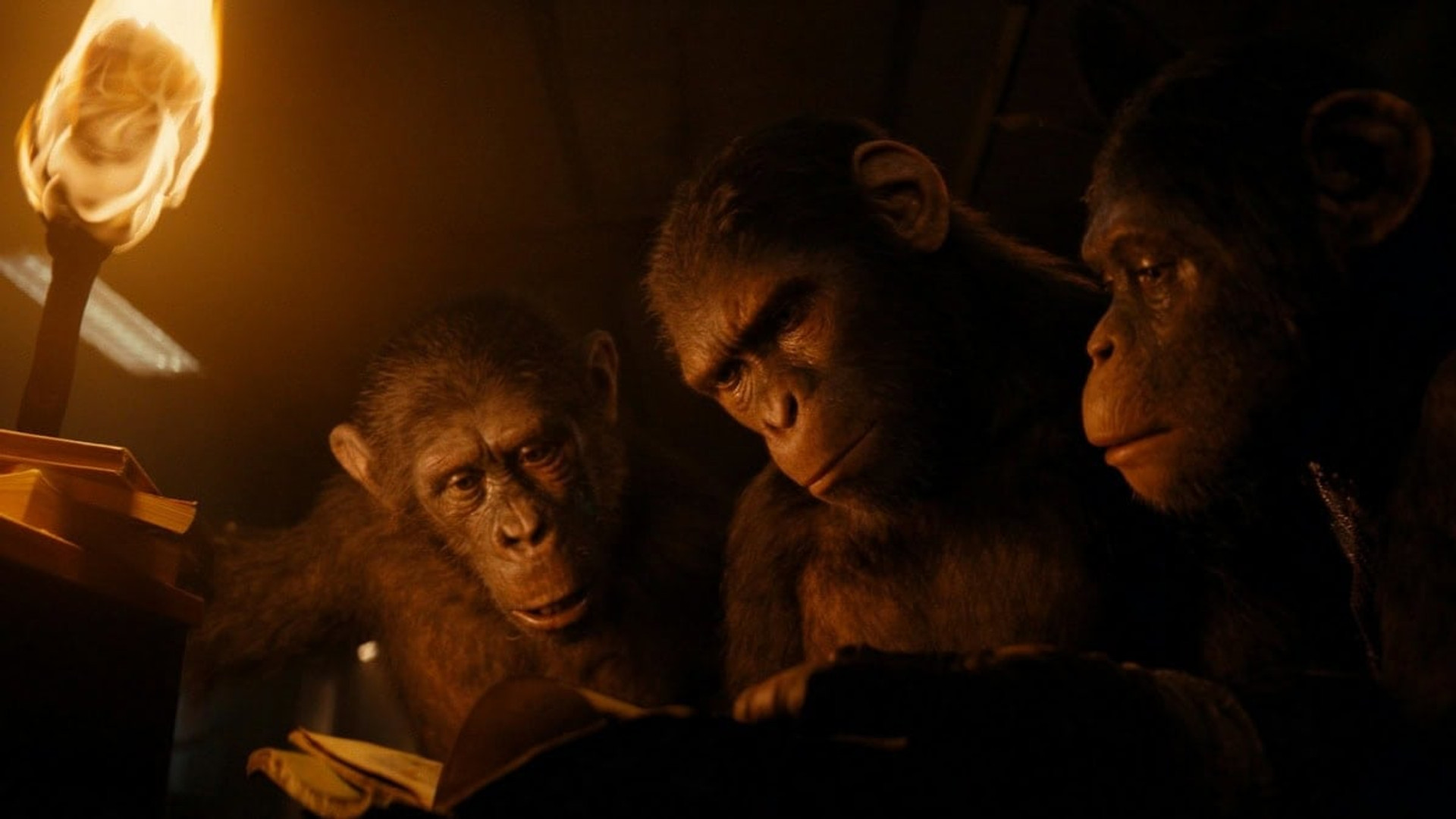 Королівство планети мавп / Kingdom of the Planet of the Apes