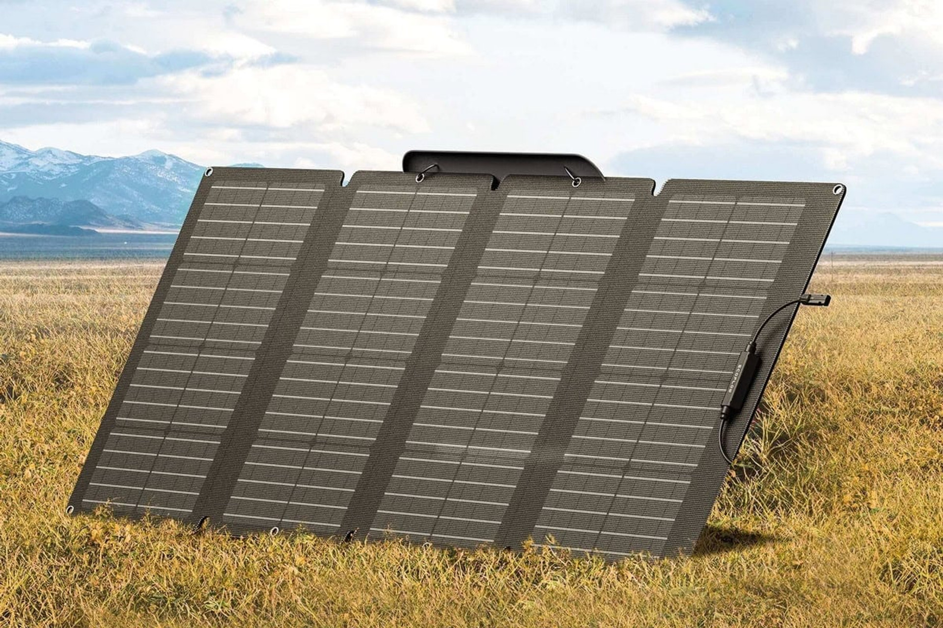 EcoFlow 160W Solar Panel